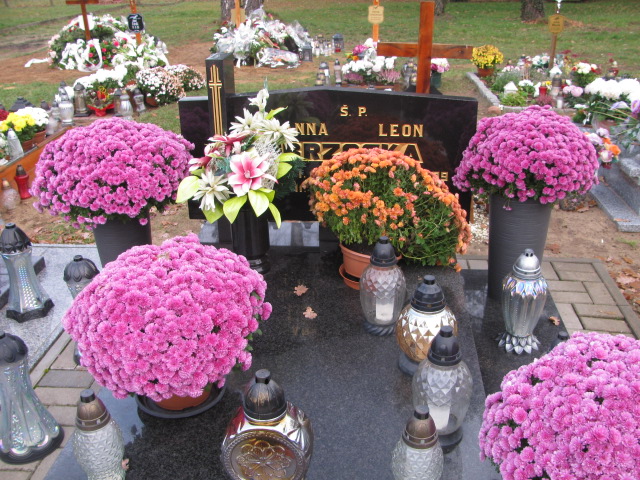 Anna Brzoska 1907 Dobra - Grobonet - Wyszukiwarka osób pochowanych