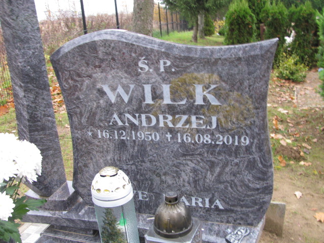 Andrzej Wilk 1950 Dobra - Grobonet - Wyszukiwarka osób pochowanych