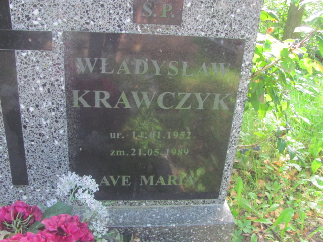 Władysław Krawczyk 1952 Dobra - Grobonet - Wyszukiwarka osób pochowanych