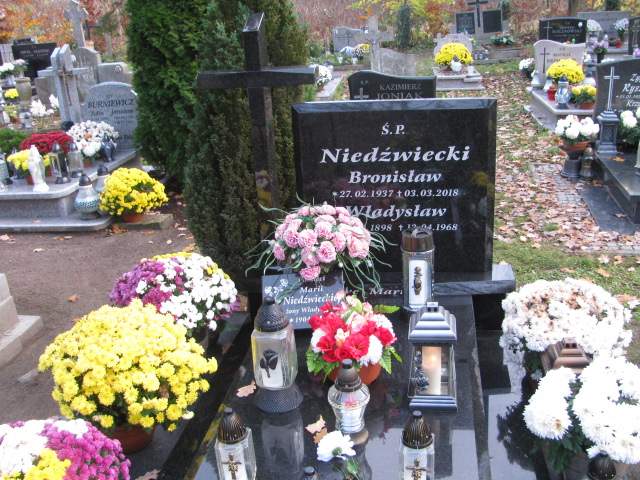 Grób Bronisław Niedźwiecki