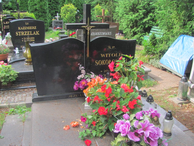 Grób Konstancja Sokołowska